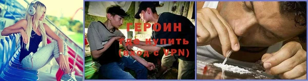 прущие грибы Верея