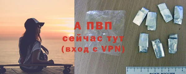 прущие грибы Верея