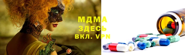 прущие грибы Верея